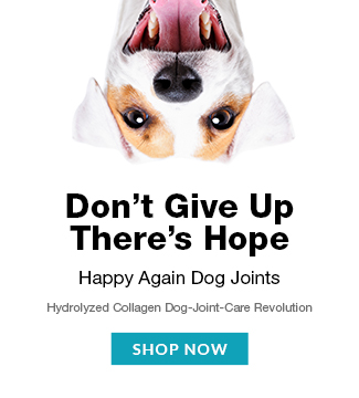 Get Your Dog Smiling And Moving With Happy Again Pet!