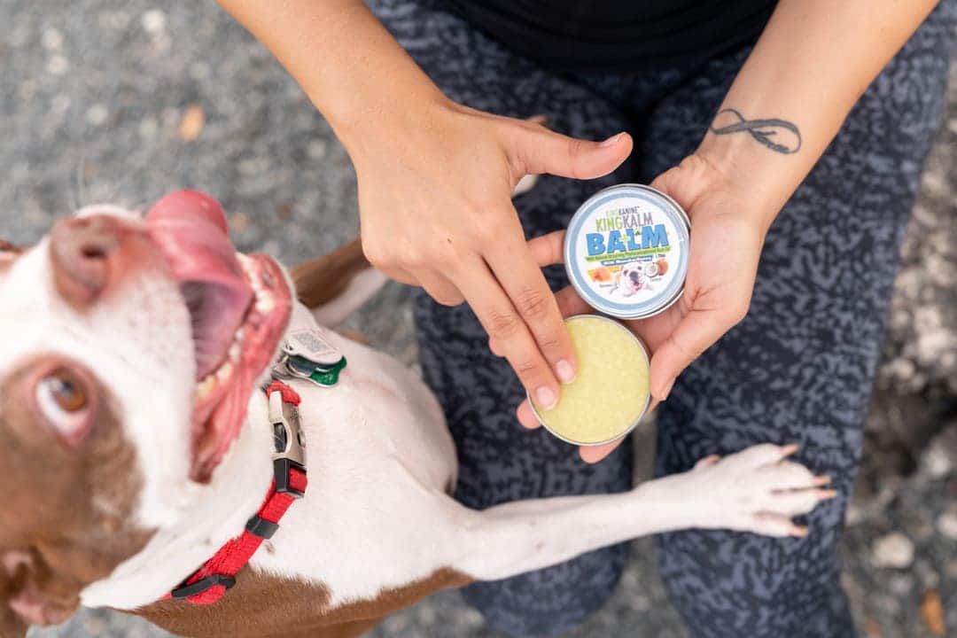 King Kalm Balm for Dogs