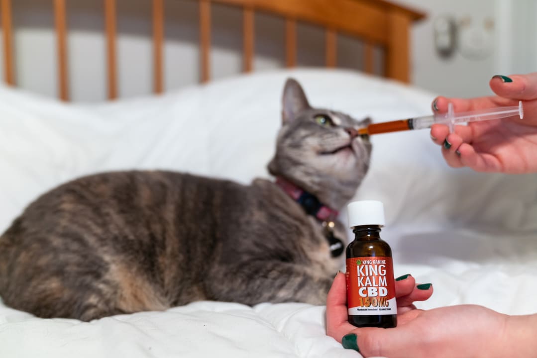 King Kanine Supplements For Cats