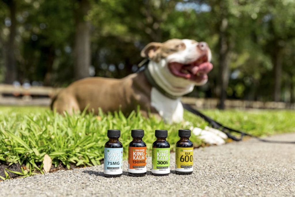King Kanine’s Solution For Anxious Dogs