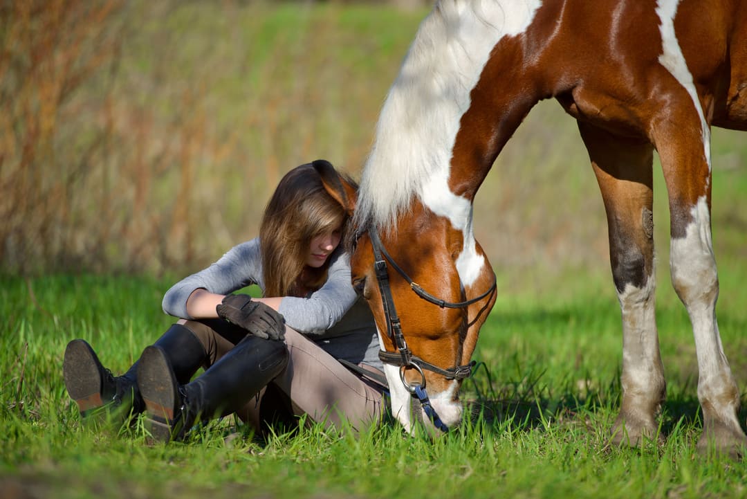 Plant-Based Supplements for Anxious Horses