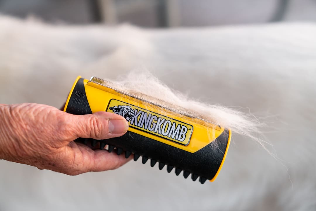 Why Should You Use A Dog Shedding Comb?