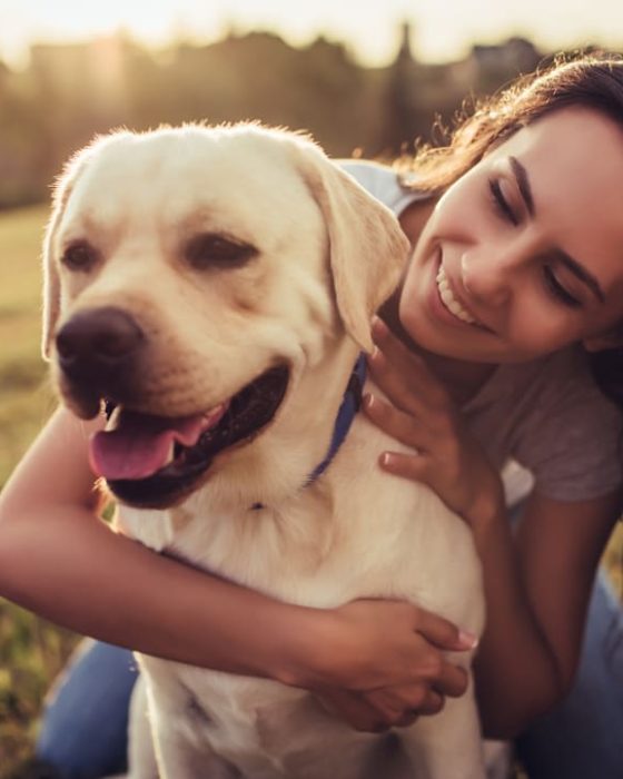 Living With a Healthy Labrador Retriever