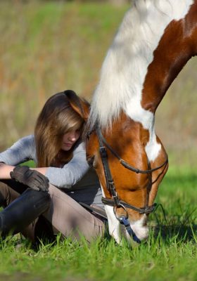 Plant-Based Supplements for Anxious Horses