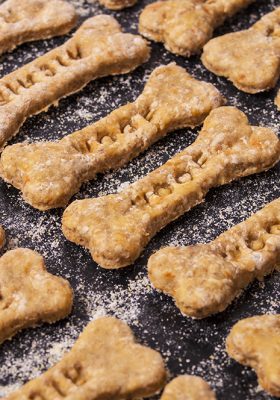 Your Guide to Homemade Dog Treats